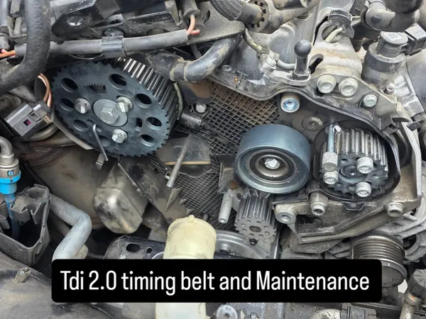 2.0 TDI Timing